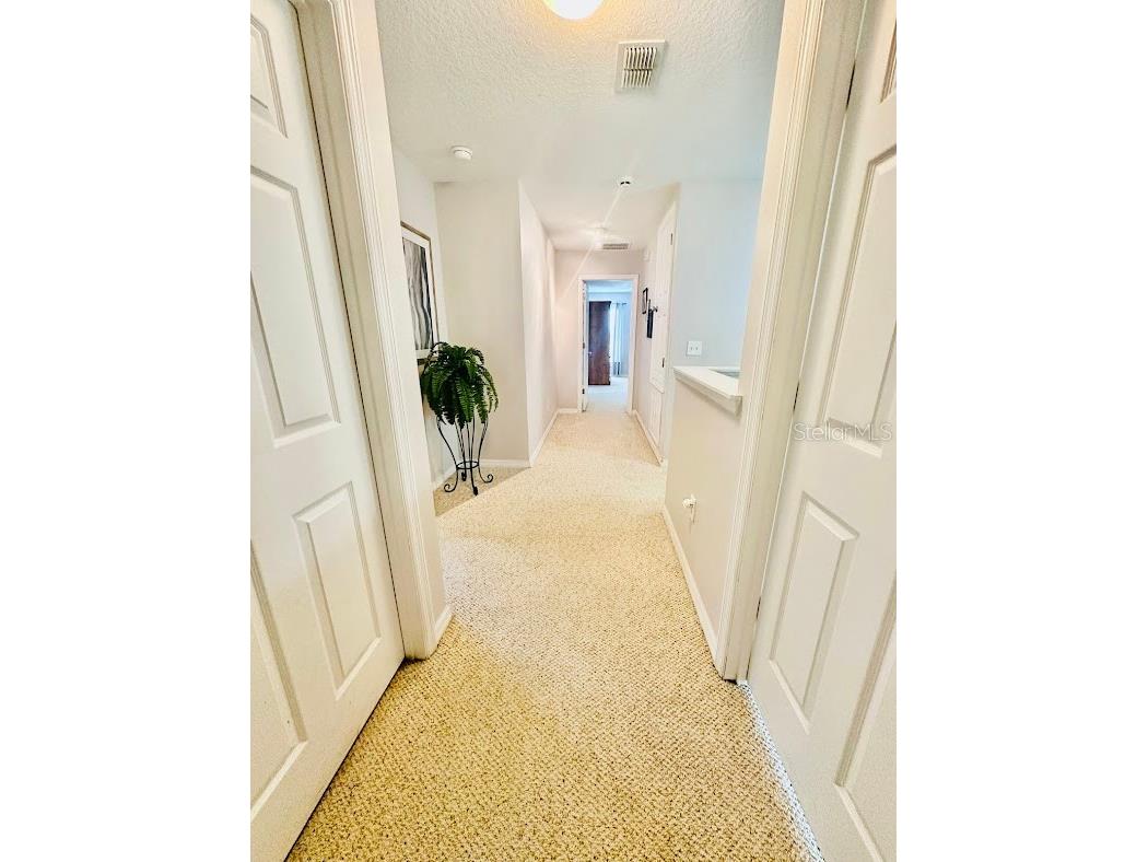 13850 Carolina Laurel Drive Orlando FL 32828 V4946967 image22