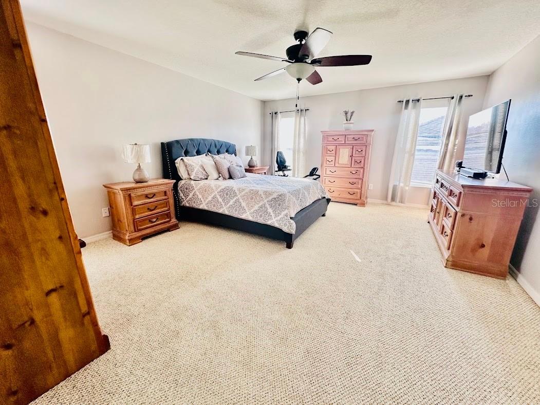 13850 Carolina Laurel Drive Orlando FL 32828 V4946967 image32