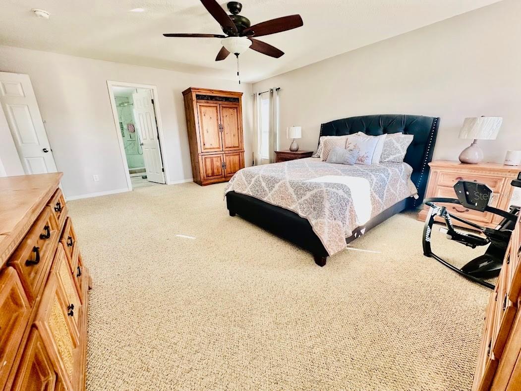 13850 Carolina Laurel Drive Orlando FL 32828 V4946967 image33