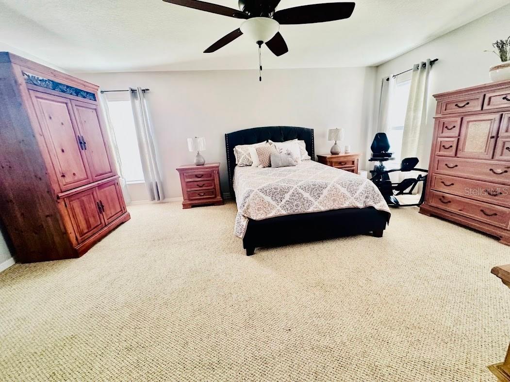 13850 Carolina Laurel Drive Orlando FL 32828 V4946967 image34