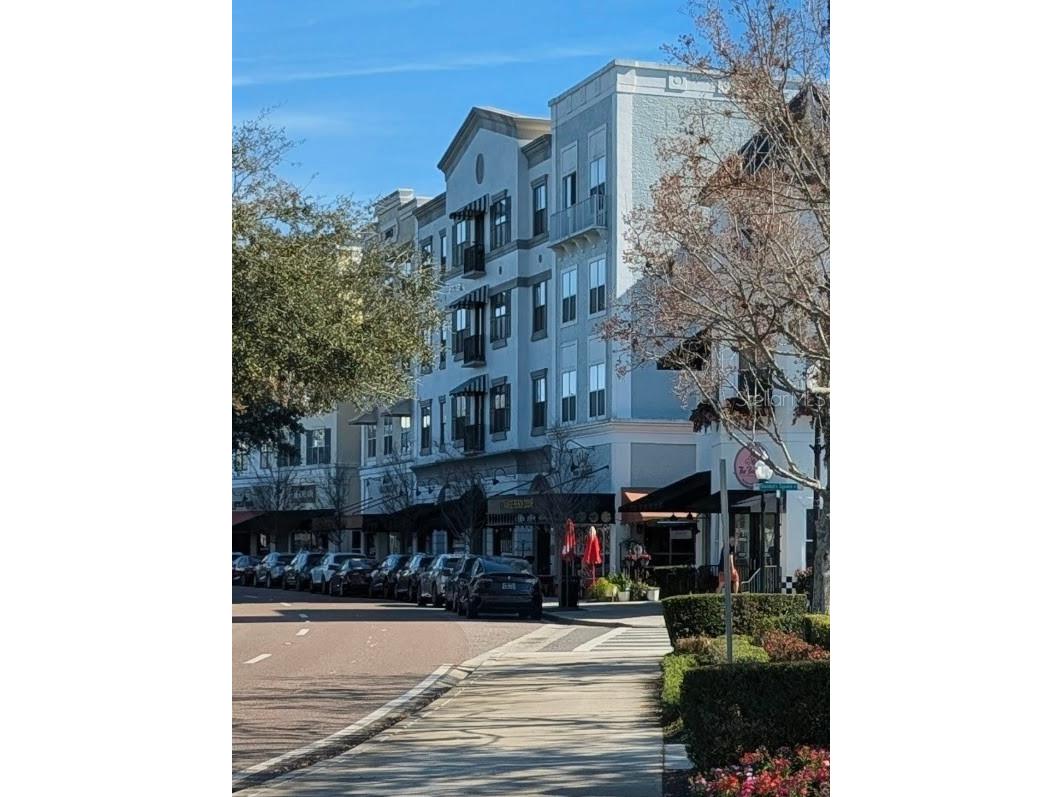 13850 Carolina Laurel Drive Orlando FL 32828 V4946967 image54