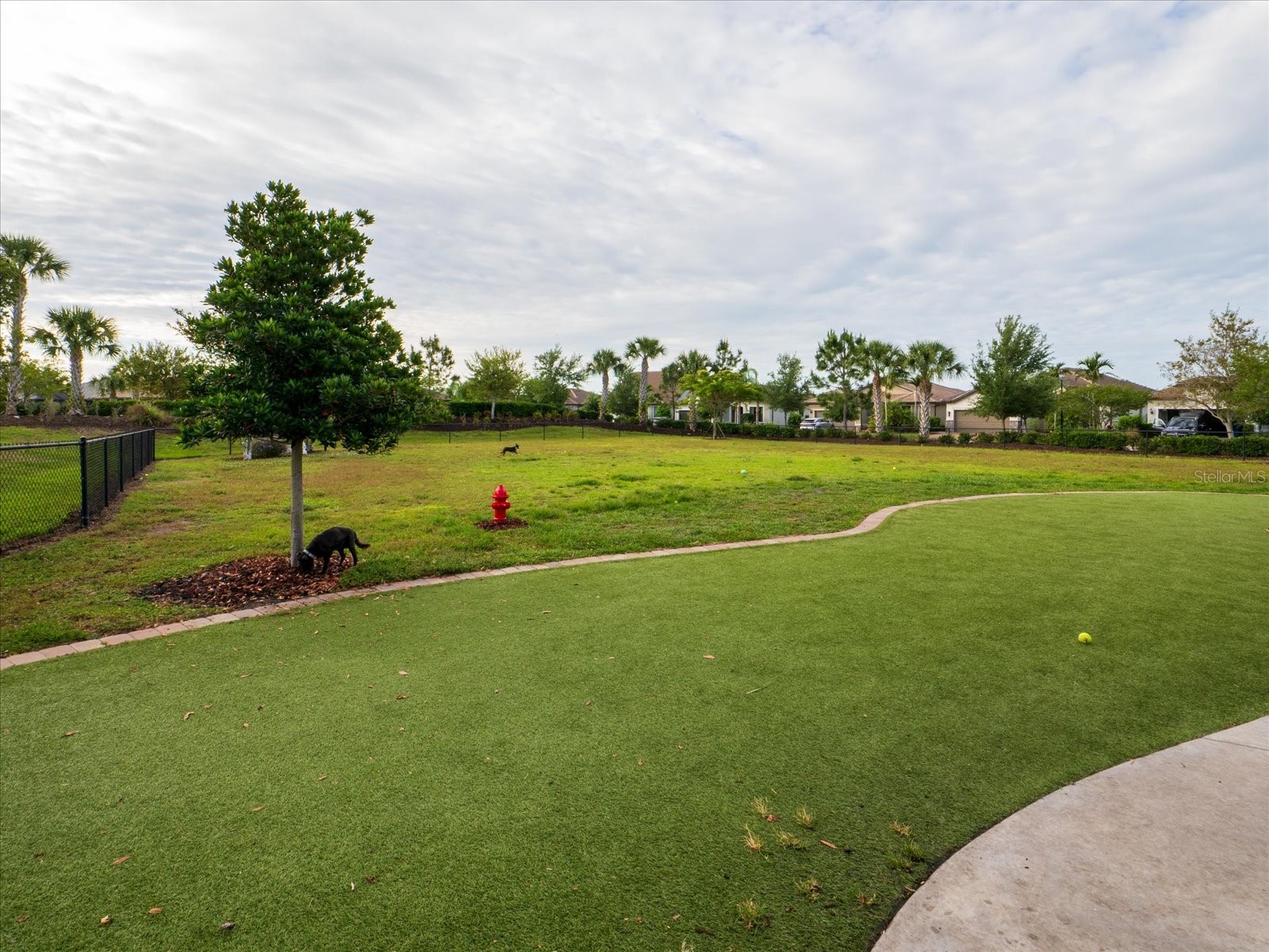 13850 Lido Street Venice FL 34293 N6144097 image65