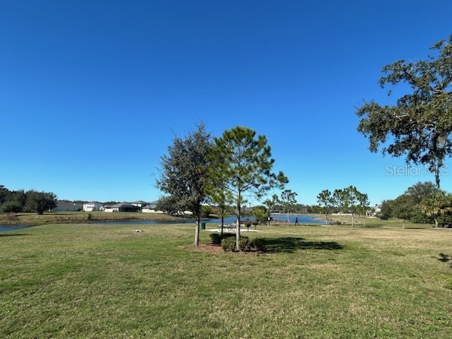13850 Moosehead Circle Hudson FL 34669 - CABBAGE SLOUGH LAKE W7884136 image46