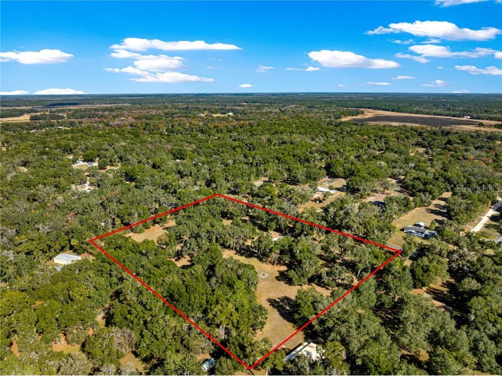 13850 NE 47th Avenue Anthony FL 32617 OM715447 image67