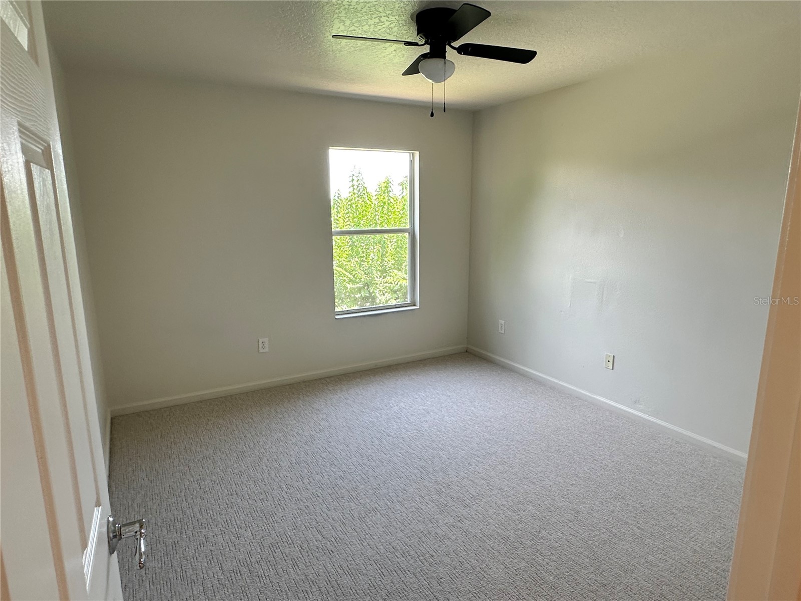 13850 Trull Way Hudson FL 34669 W7886500 image16