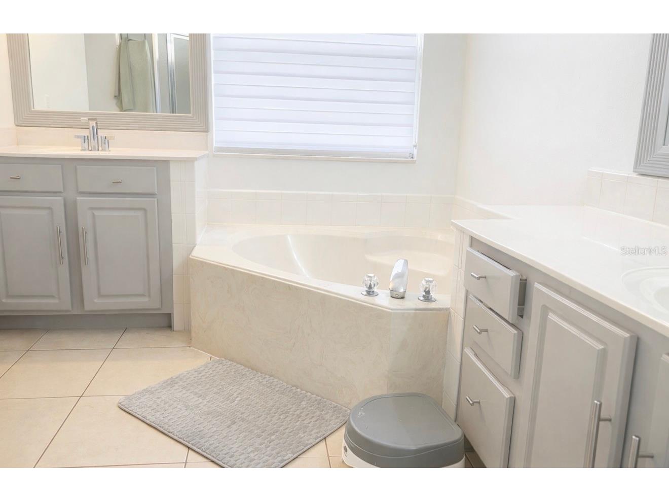 13851 Amberleigh Road Orlando FL 32837 S5145884 image14