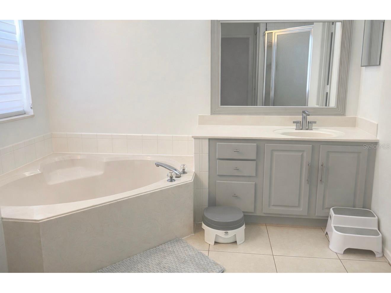 13851 Amberleigh Road Orlando FL 32837 S5145884 image15