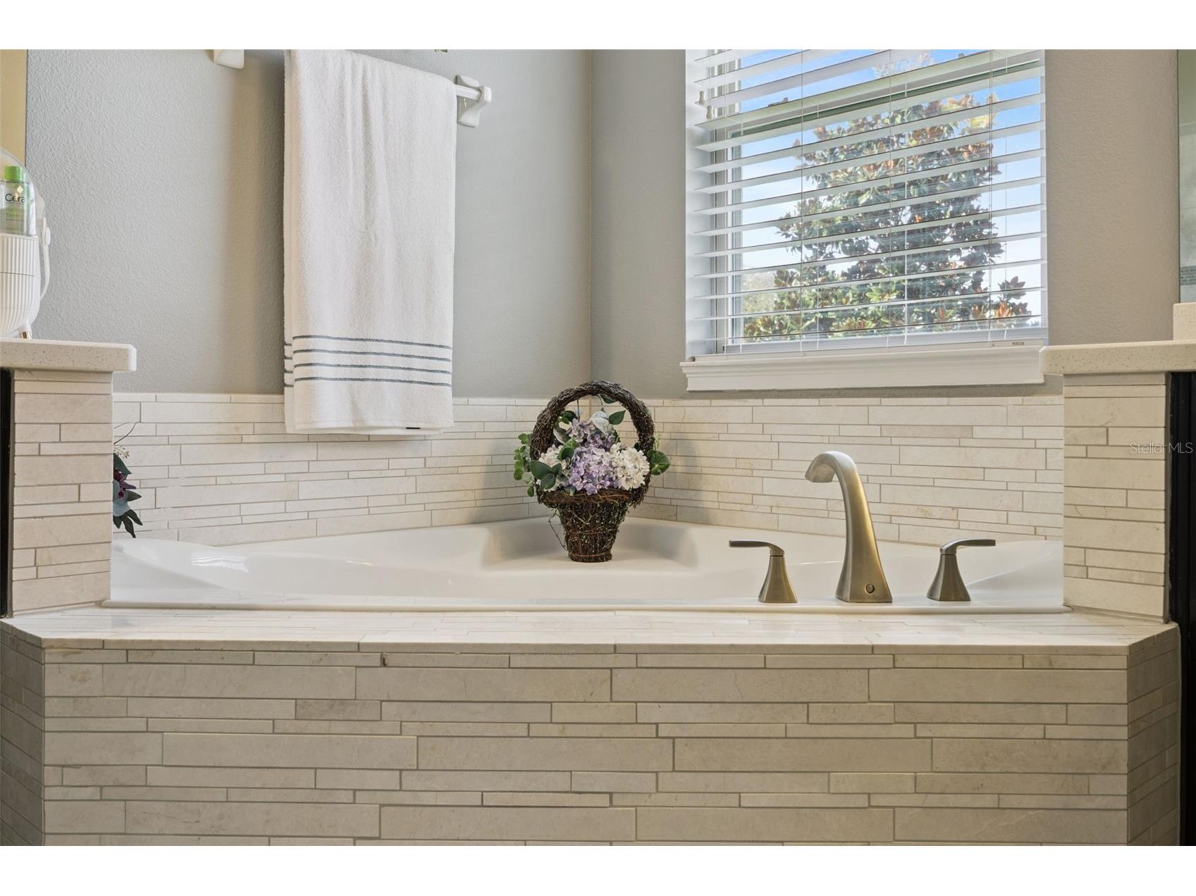 13852 Jomatt Loop Winter Garden FL 34787 O6427925 image22
