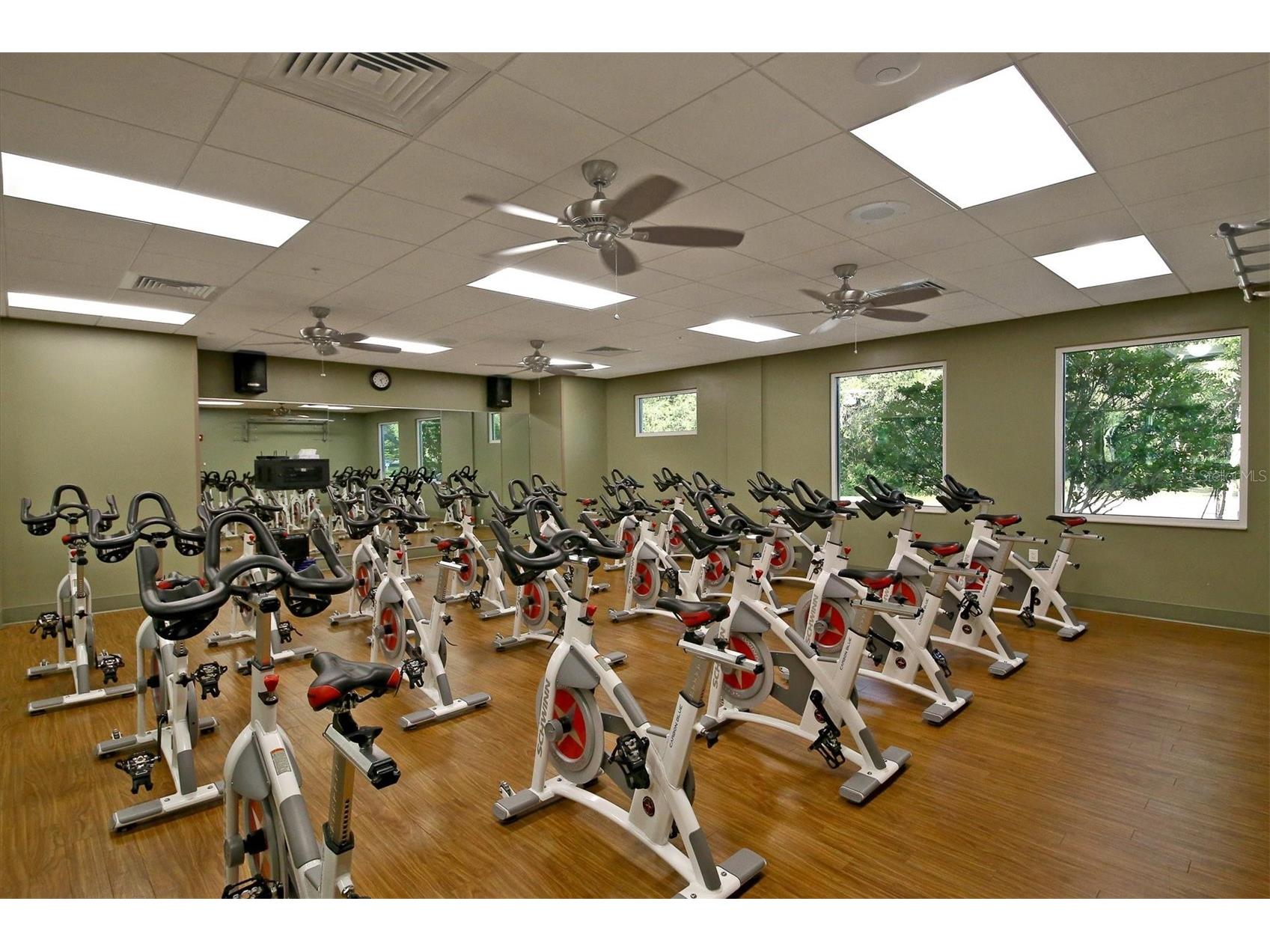 13853 Siena Loop Lakewood Ranch FL 34202 A4666855 image61