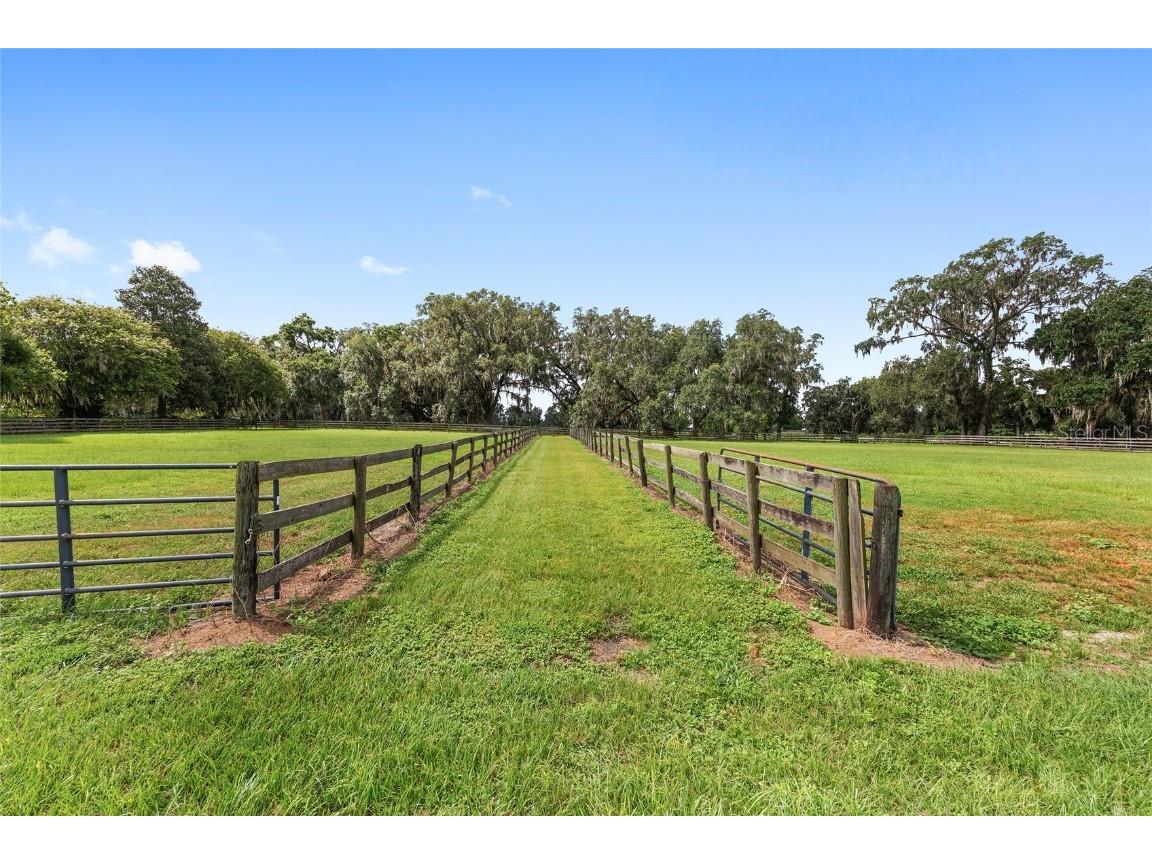 13855 NW 27th Avenue Citra FL 32113 OM700832 image13