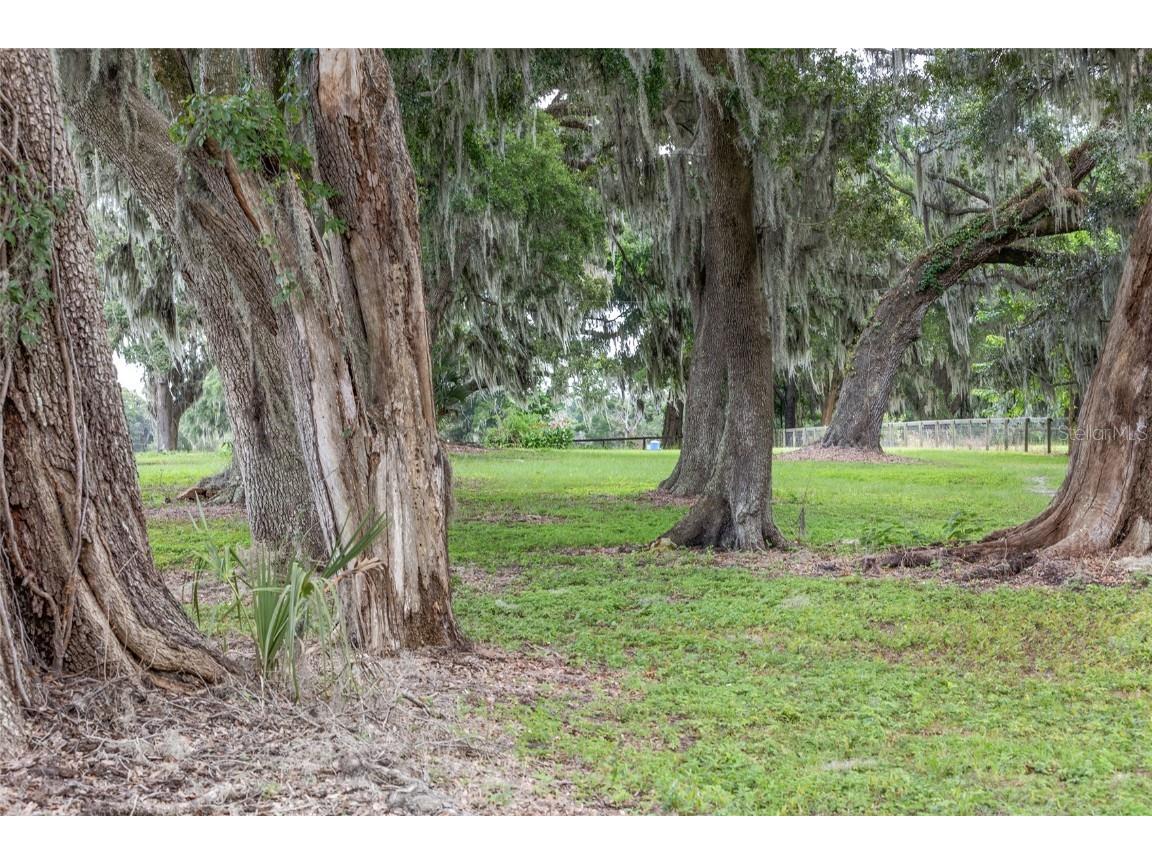 13855 NW 27th Avenue Citra FL 32113 OM700832 image46