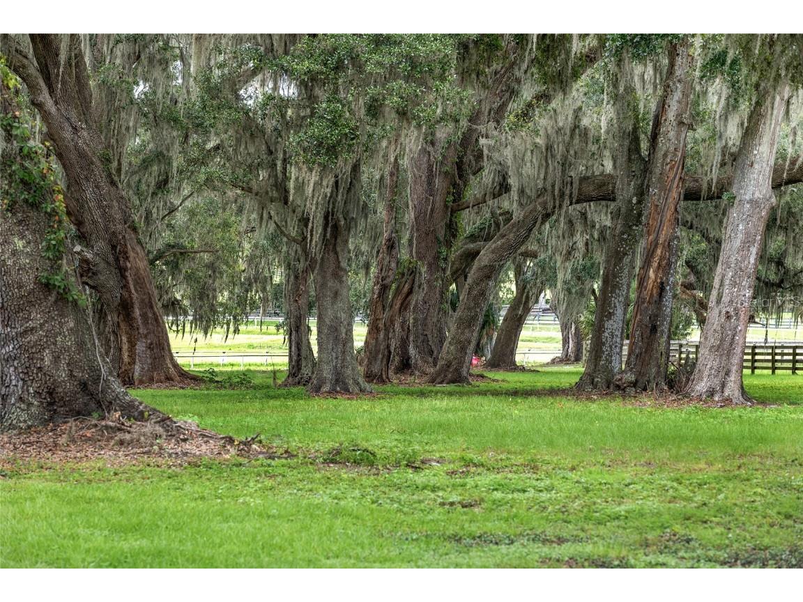 13855 NW 27th Avenue Citra FL 32113 OM700832 image48