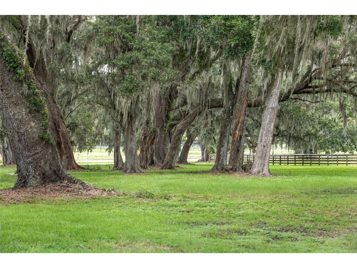 13855 NW 27th Avenue Citra FL 32113 OM700832 image50