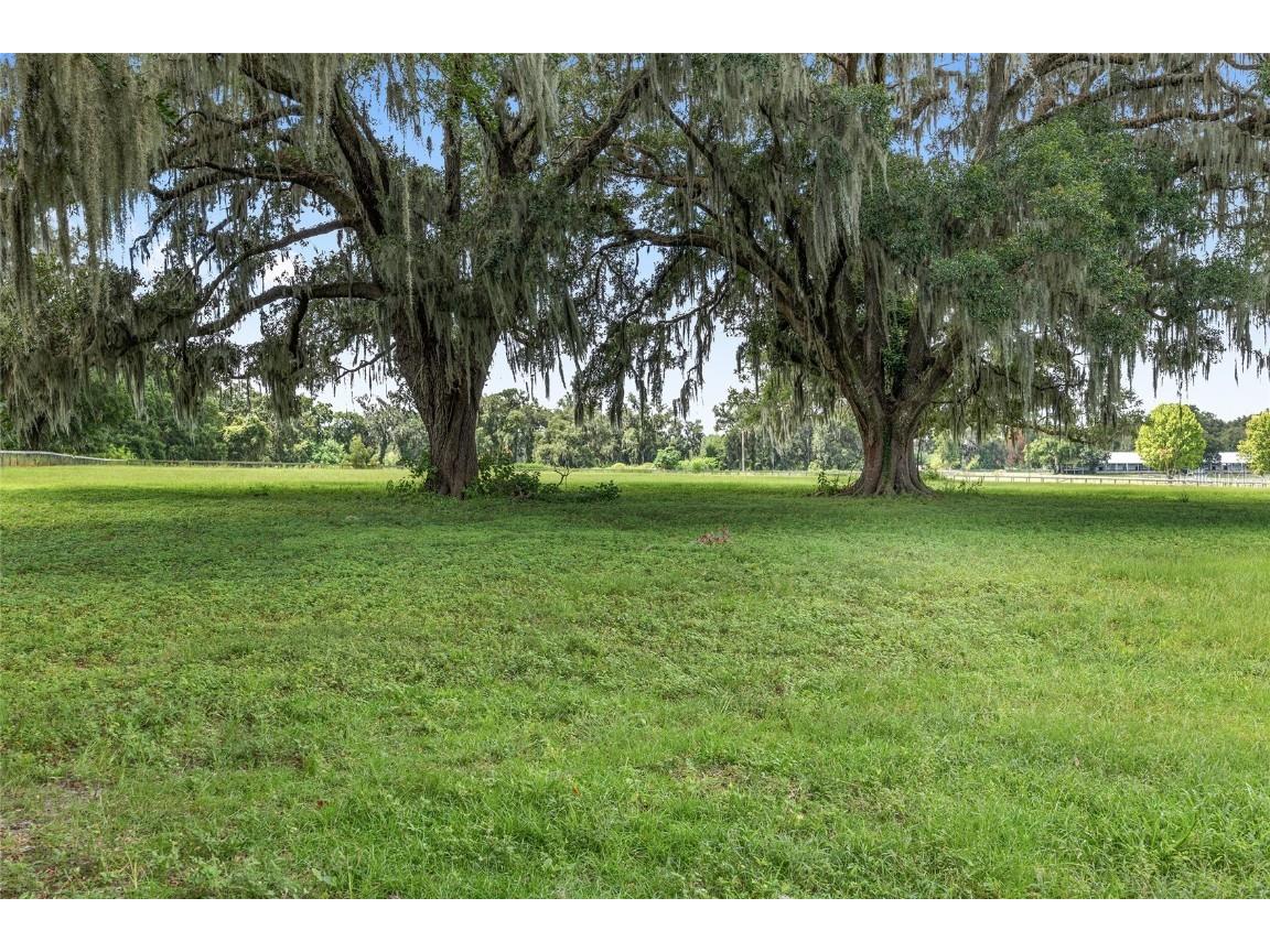 13855 NW 27th Avenue Citra FL 32113 OM700832 image55