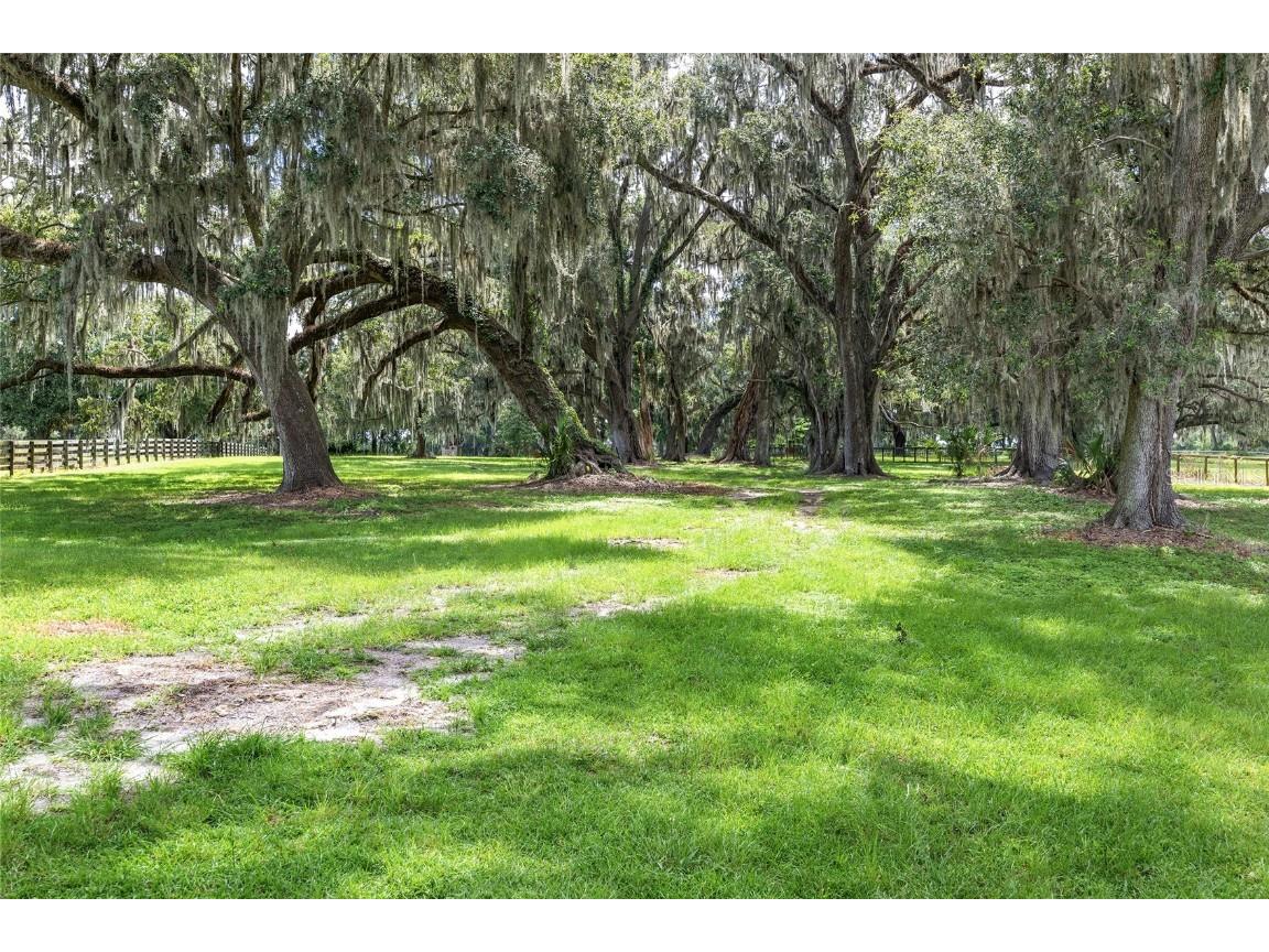 13855 NW 27th Avenue Citra FL 32113 OM700832 image57