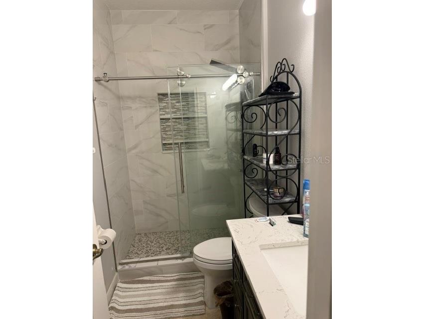 13856 Glynshel Drive Winter Garden FL 34787 O6416757 image17