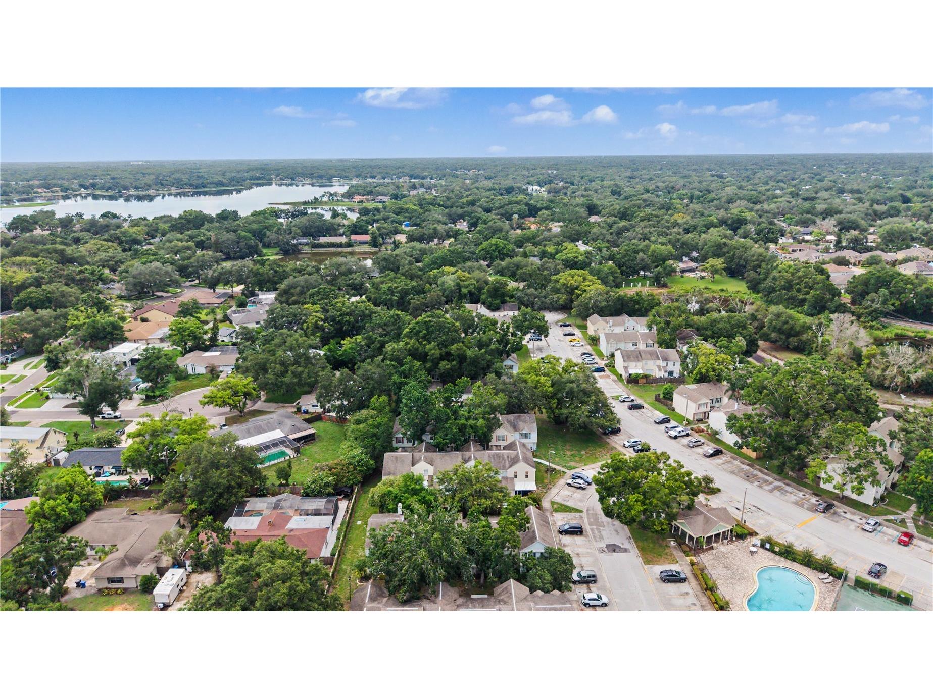 13856 Stone Mill Way Tampa FL 33613 TB8527601 image34