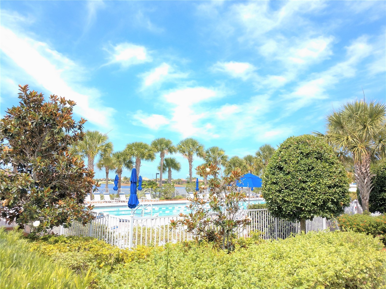 13858 Campoleone Street Venice FL 34293 N6144592 image58