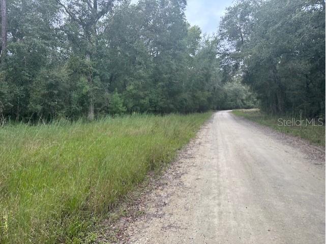 1386 Friendship Lane Branford FL 32008 - SUWANNEE RIVER GC525151 image1
