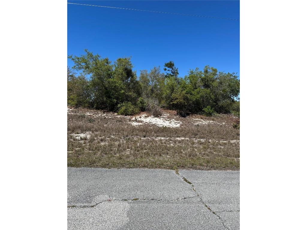 1386 Homosassa Drive Kissimmee FL 34759 S5122939 image1