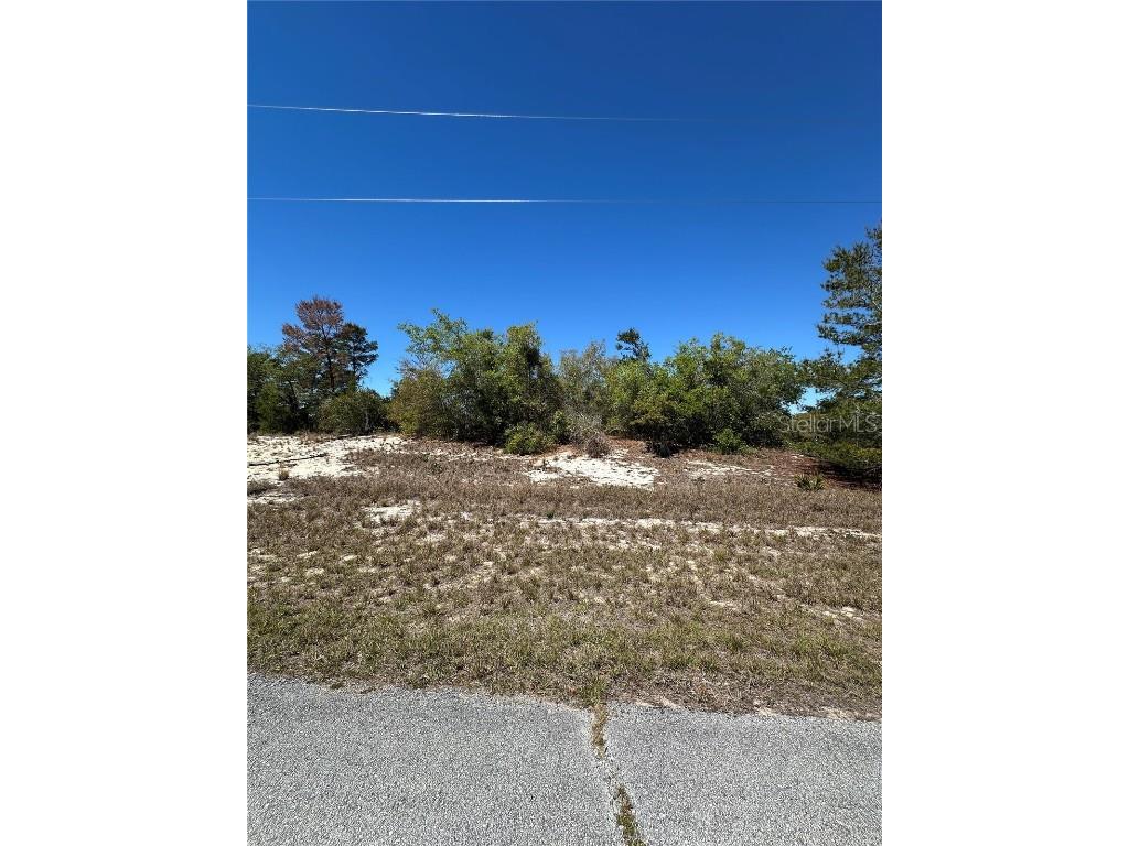 1386 Homosassa Drive Kissimmee FL 34759 S5122939 image2