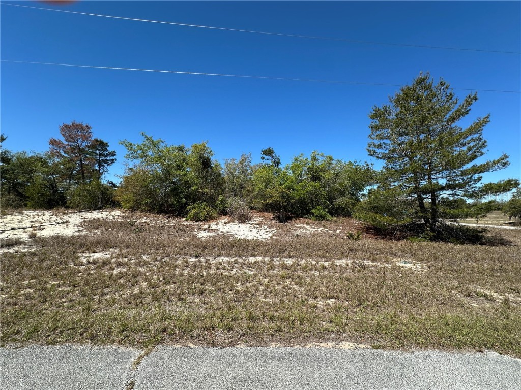 1386 Homosassa Drive Kissimmee FL 34759 S5122939 image3