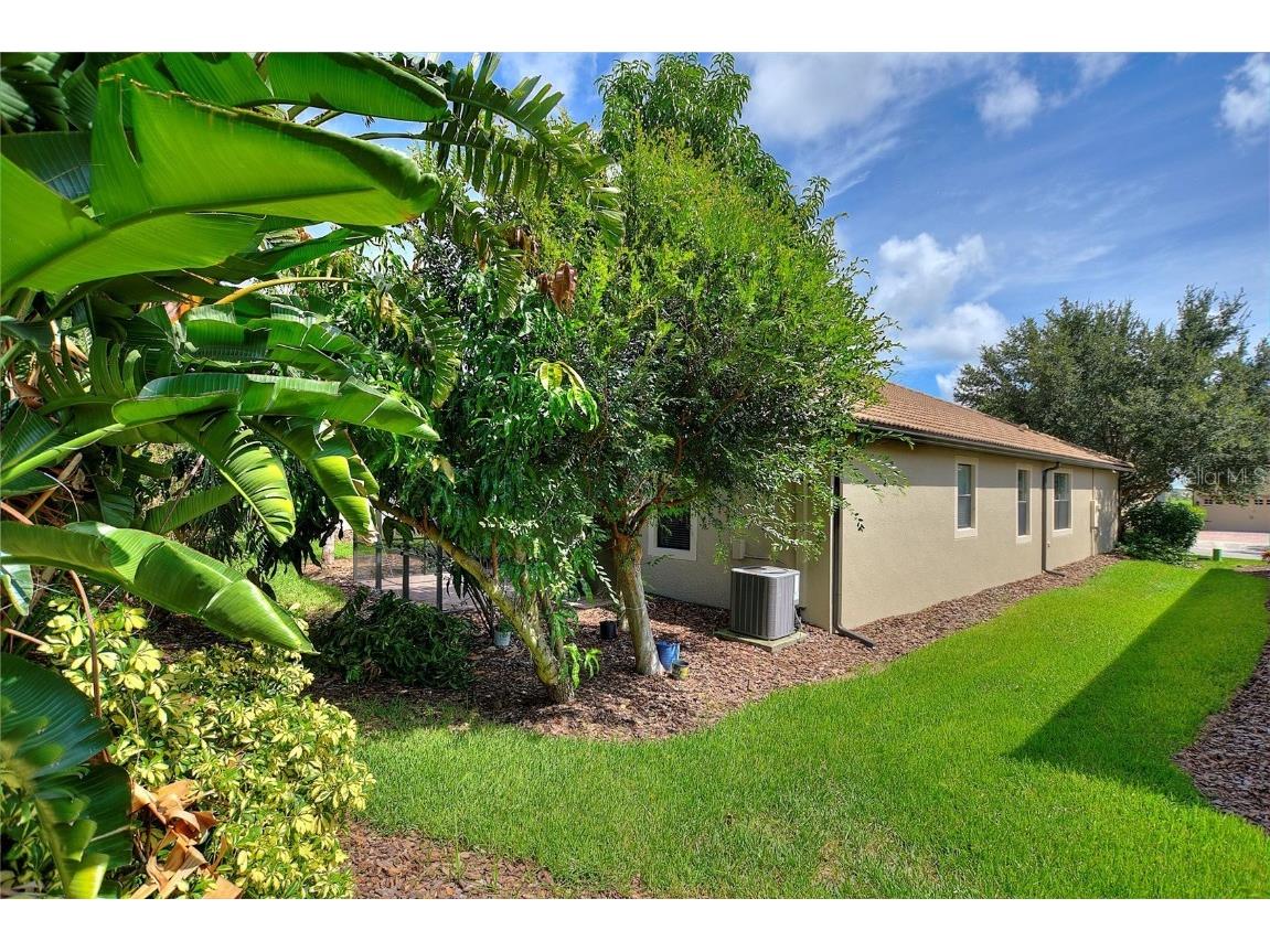 1386 Palmetto Dunes Street Davenport FL 33896 S5133929 image38