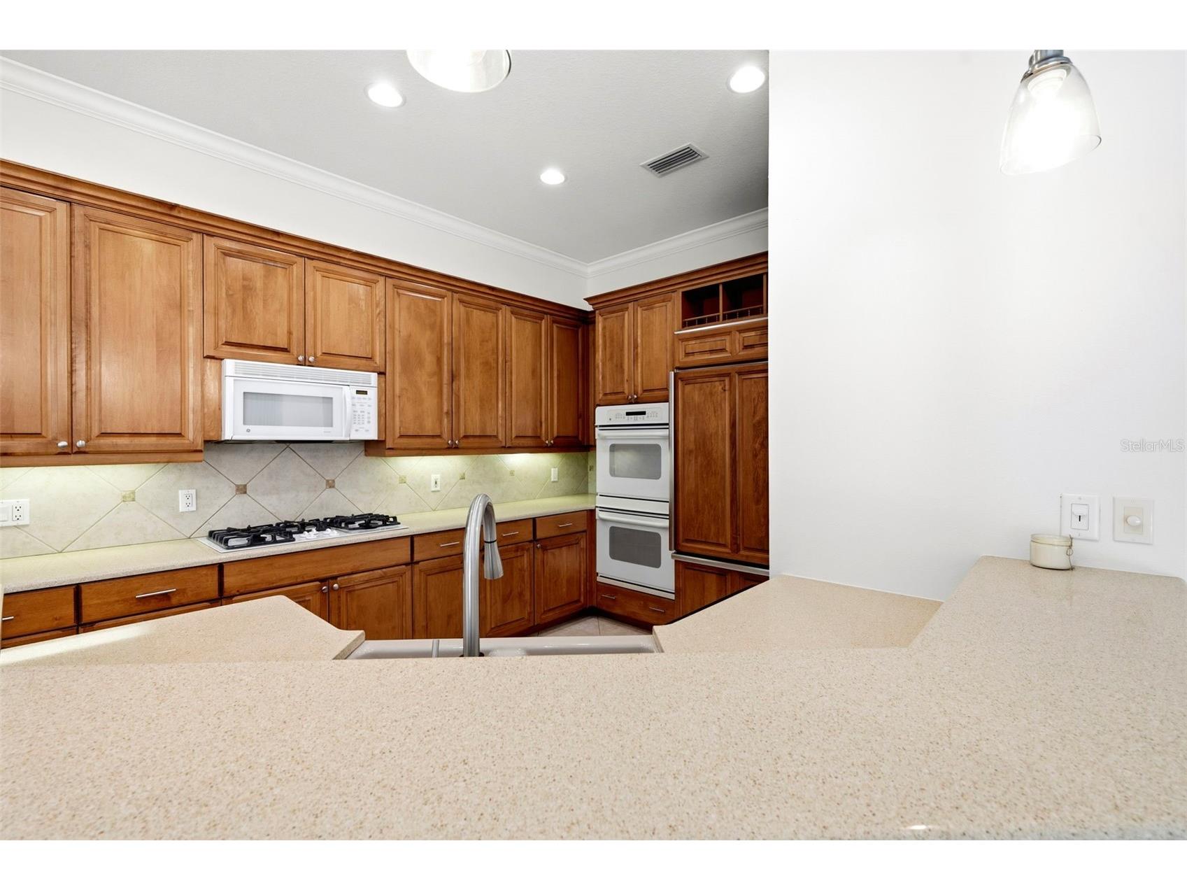 13860 Siena Loop Bradenton FL 34202 TB8526072 image25