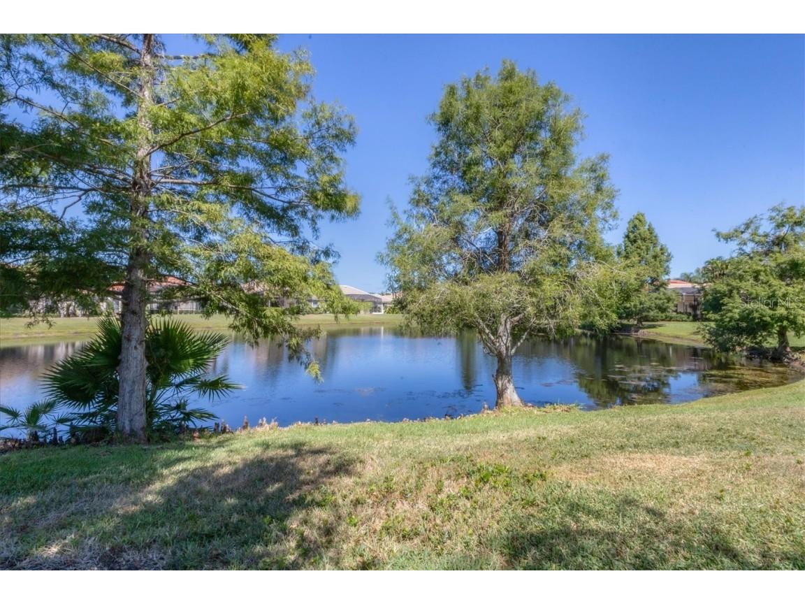 13861 Siena Loop Lakewood Ranch FL 34202 A4668432 image7