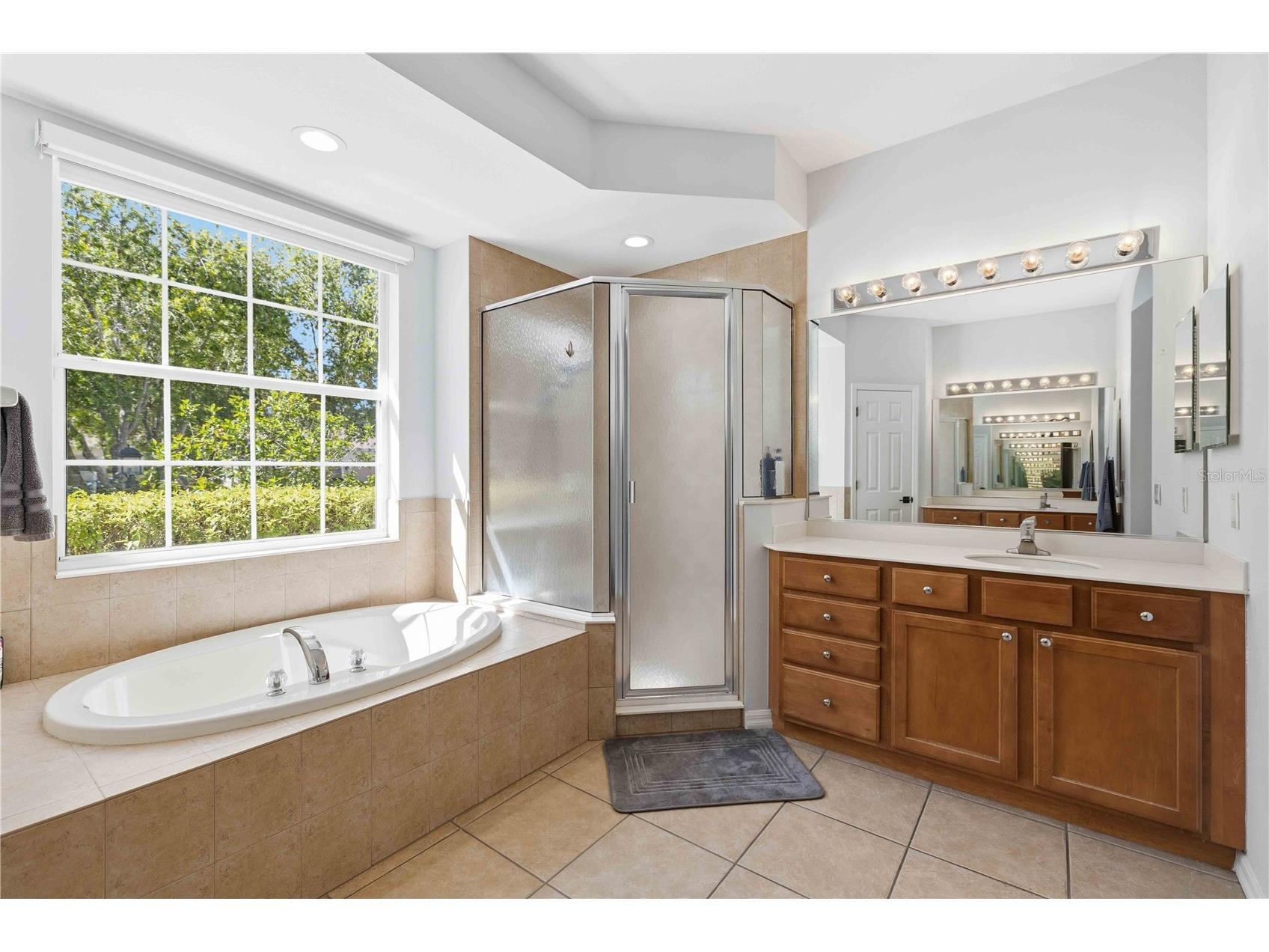 13864 Wood Duck Circle Lakewood Ranch FL 34202 A4670967 image23