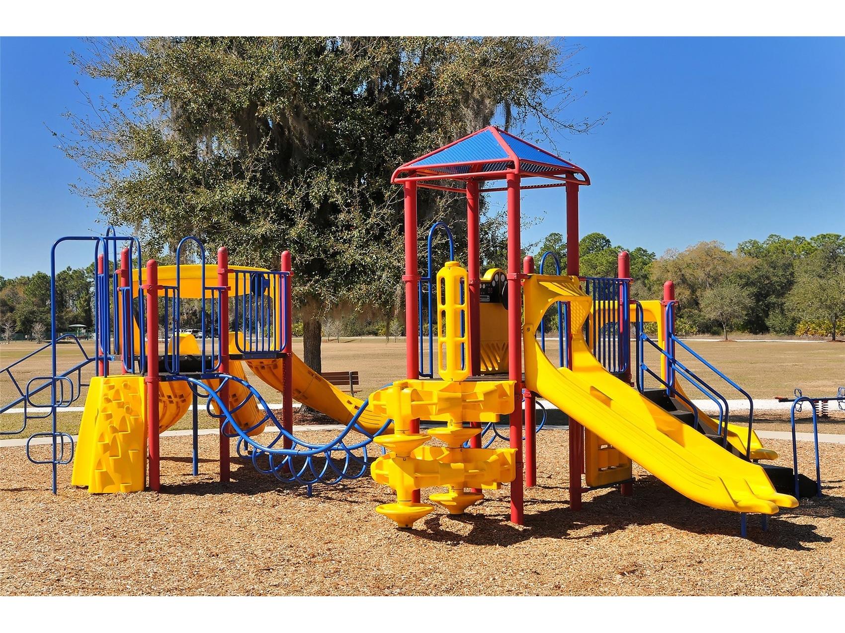 13864 Wood Duck Circle Lakewood Ranch FL 34202 A4670967 image39