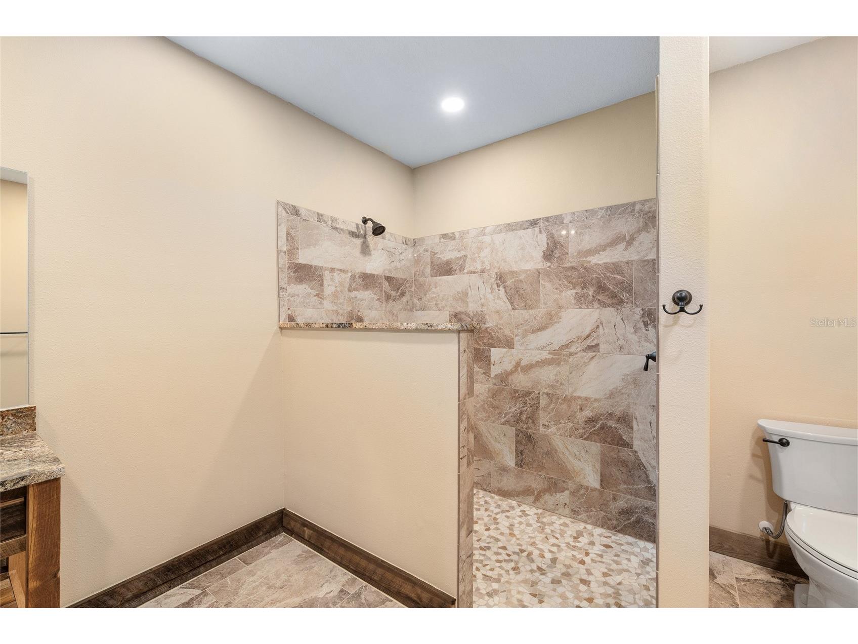 13869 S Hwy 475 Summerfield FL 34491 OM720740 image24