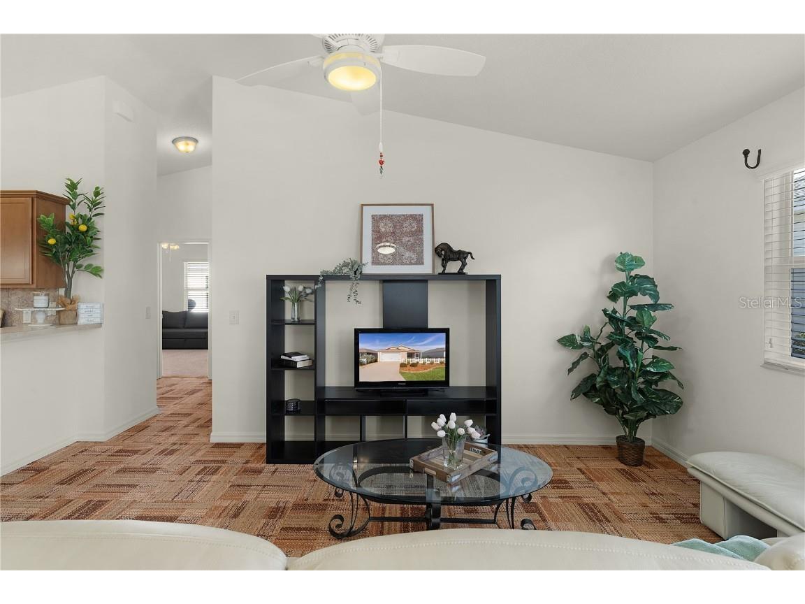 1387 Zest Avenue The Villages FL 32163 G5102183 image13