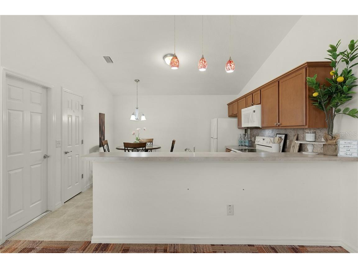 1387 Zest Avenue The Villages FL 32163 G5102183 image15