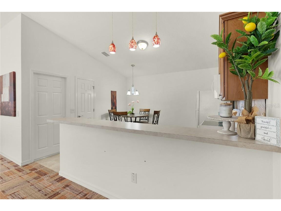 1387 Zest Avenue The Villages FL 32163 G5102183 image16