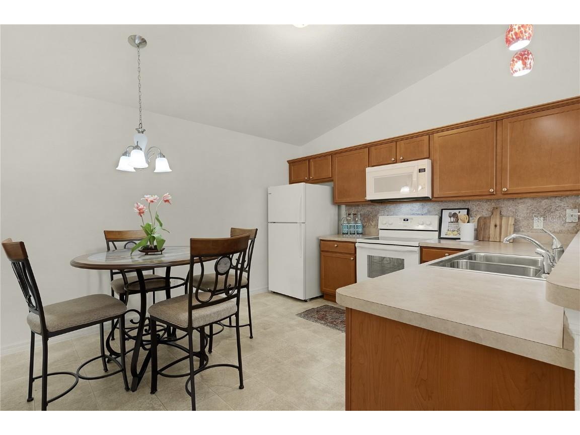 1387 Zest Avenue The Villages FL 32163 G5102183 image17