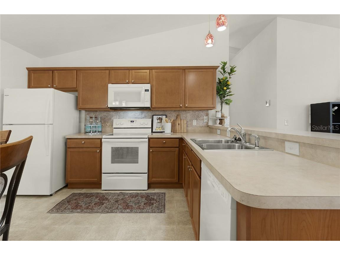 1387 Zest Avenue The Villages FL 32163 G5102183 image18