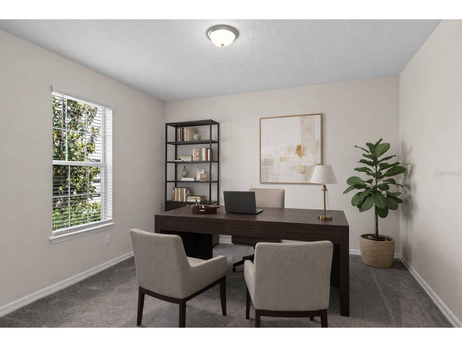 13871 Carlow Park Drive Riverview FL 33579 TB8475007 image14