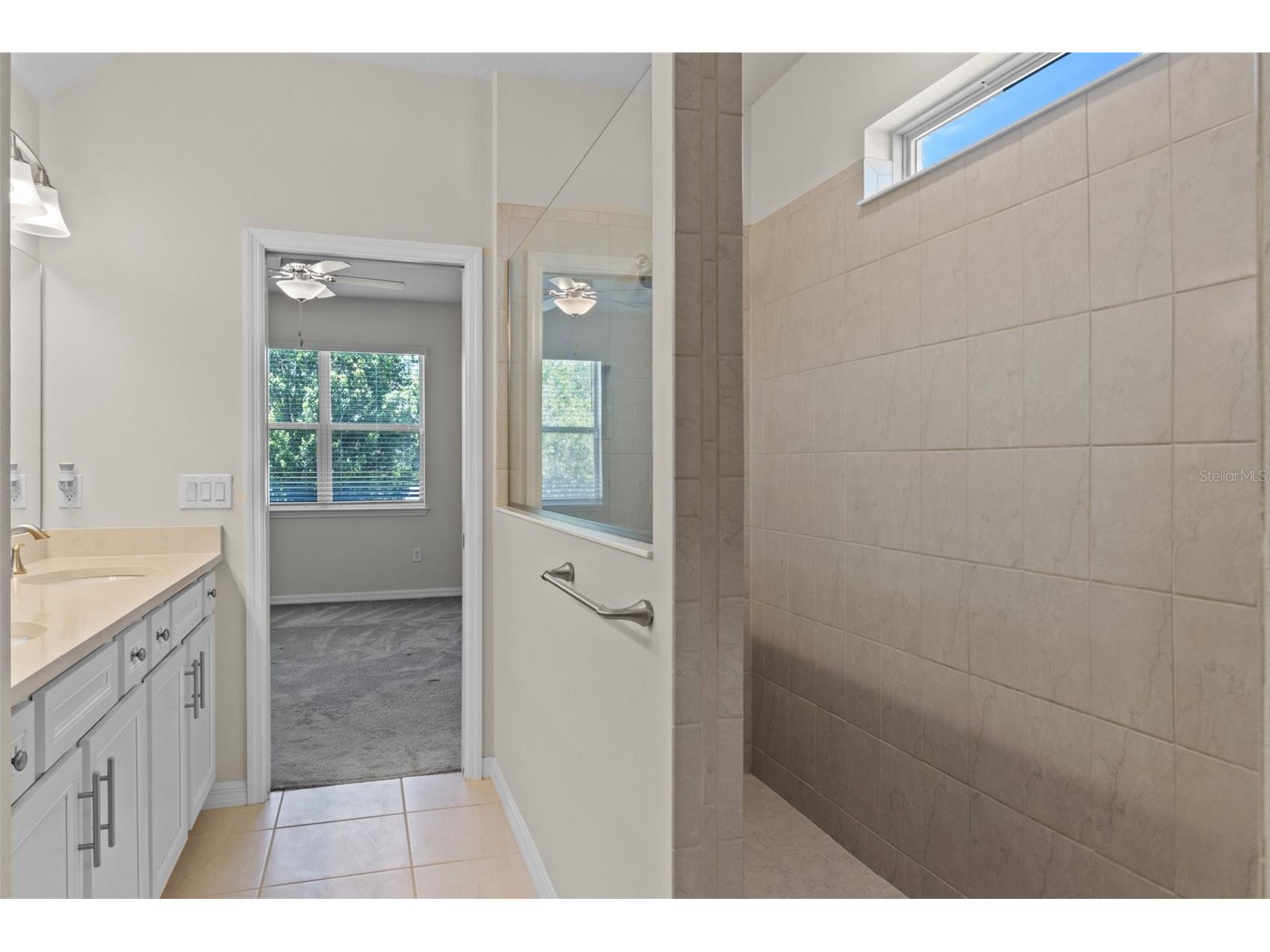 13871 Carlow Park Drive Riverview FL 33579 TB8475007 image18