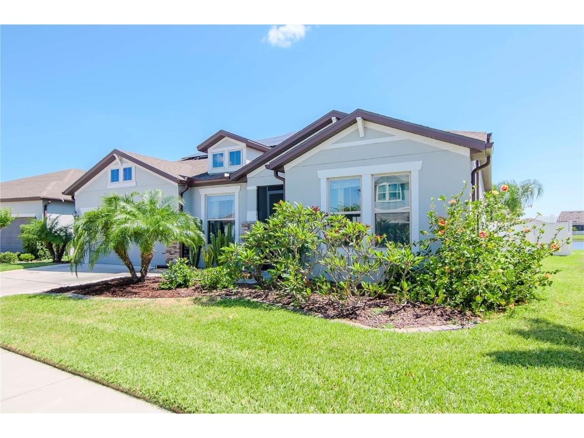 13872 Carlow Park Drive Riverview FL 33579 T3522248 image1