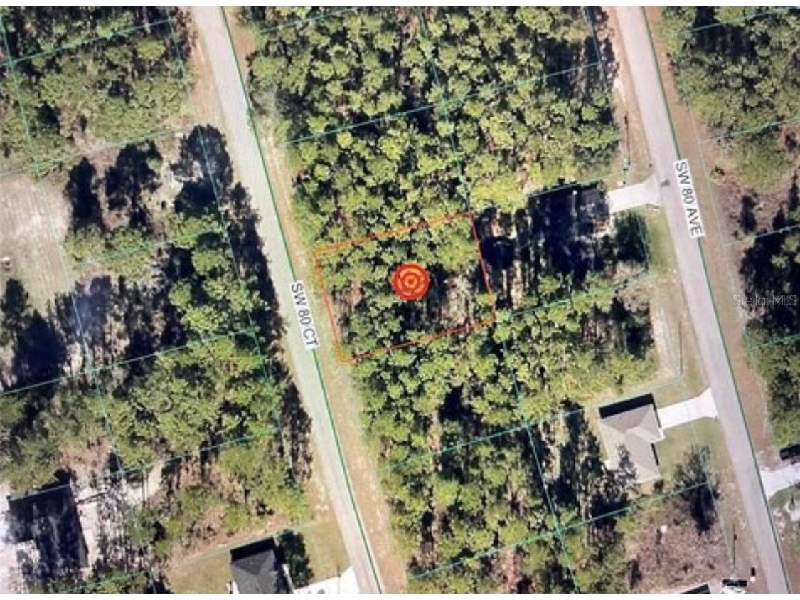 13873 SW 80th Court Ocala FL 34473 OM725748 image1