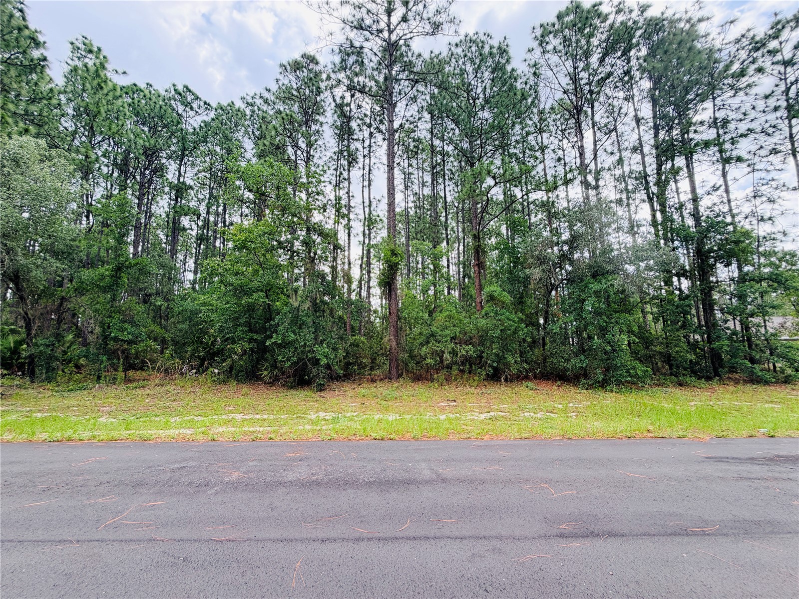 13873 SW 80th Court Ocala FL 34473 OM725748 image2