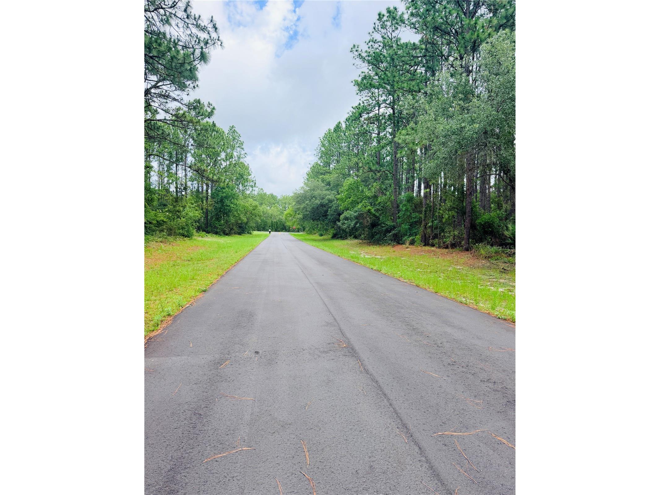 13873 SW 80th Court Ocala FL 34473 OM725748 image3