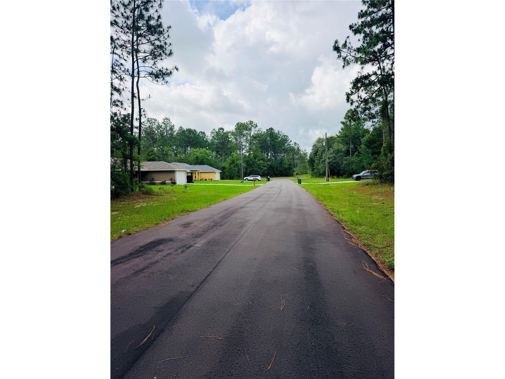 13873 SW 80th Court Ocala FL 34473 OM725748 image4