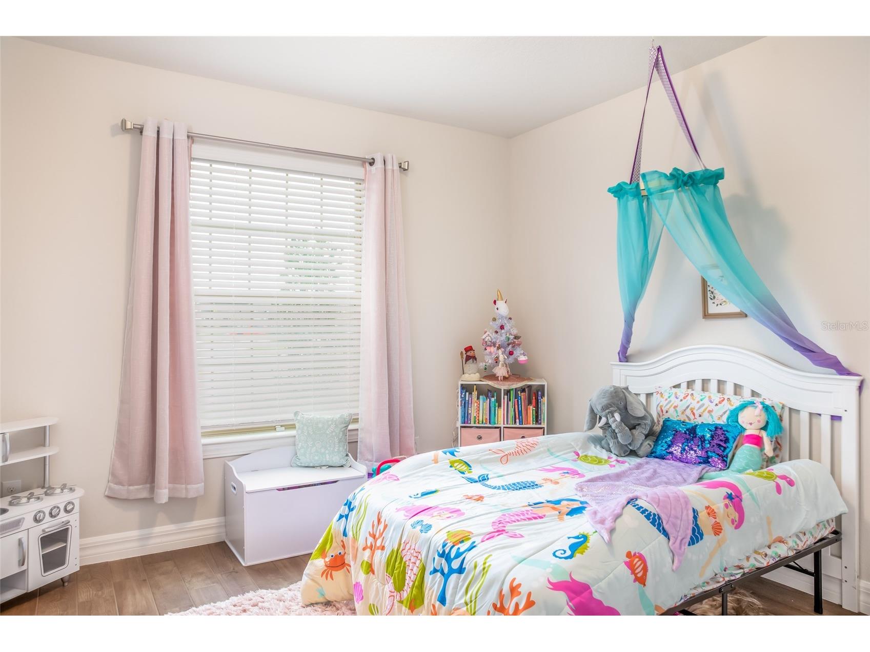 13877 Carlow Park Drive Riverview FL 33579 TB8509563 image4