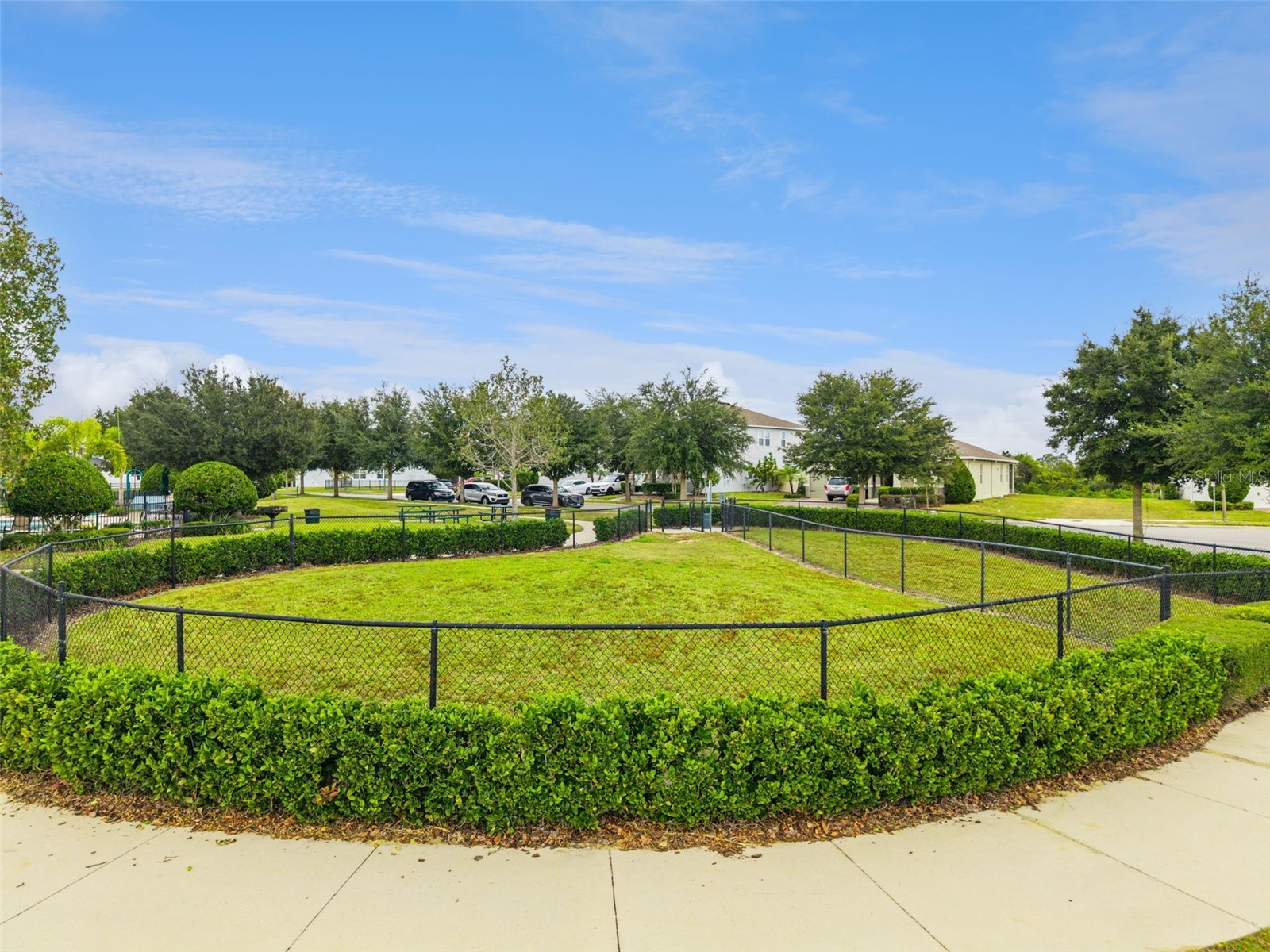 13878 Peach Orchard Way Winter Garden FL 34787 O6413152 image67