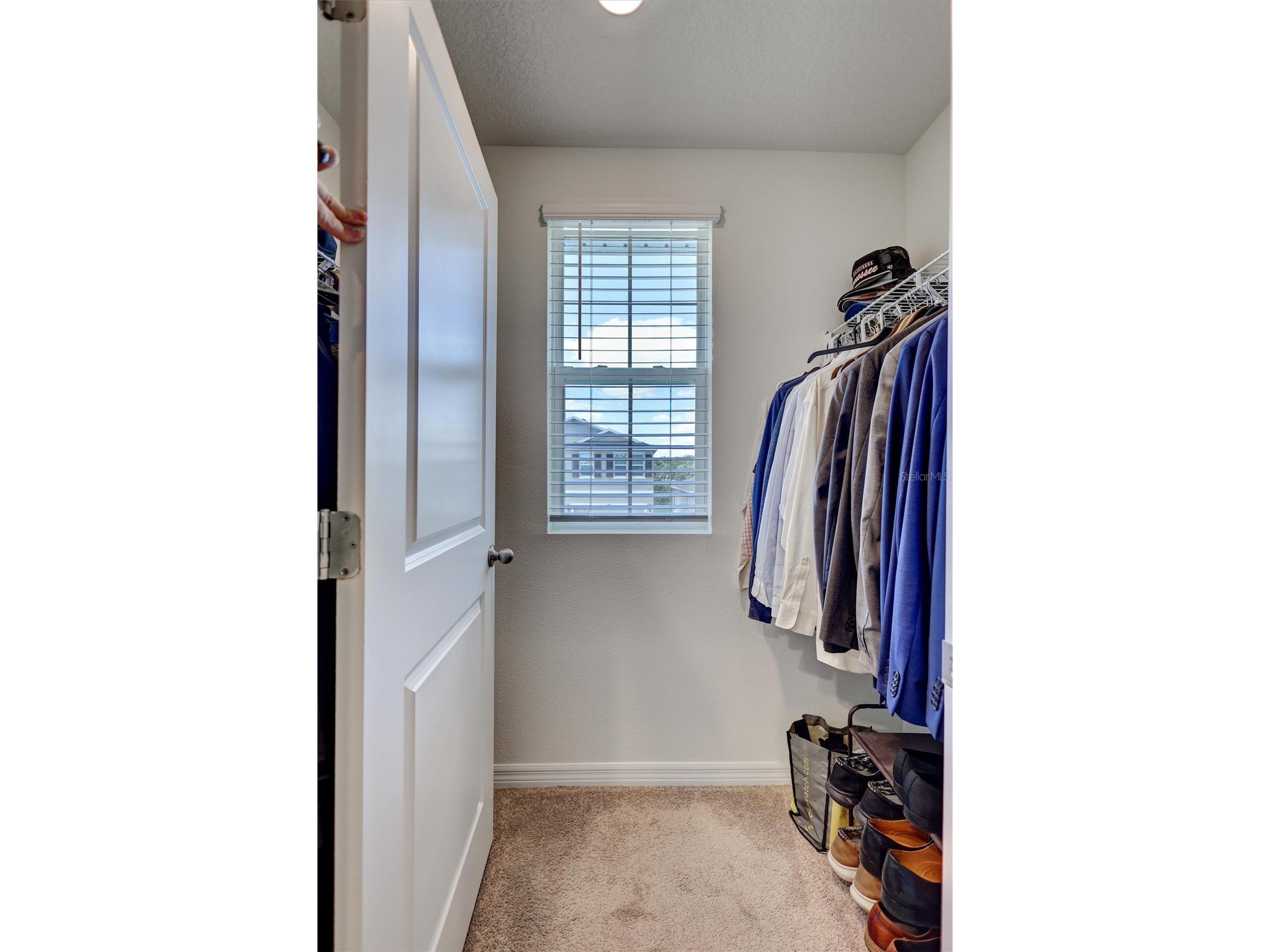 13878 Wineberry Drive Dade City FL 33525 TB8516292 image34