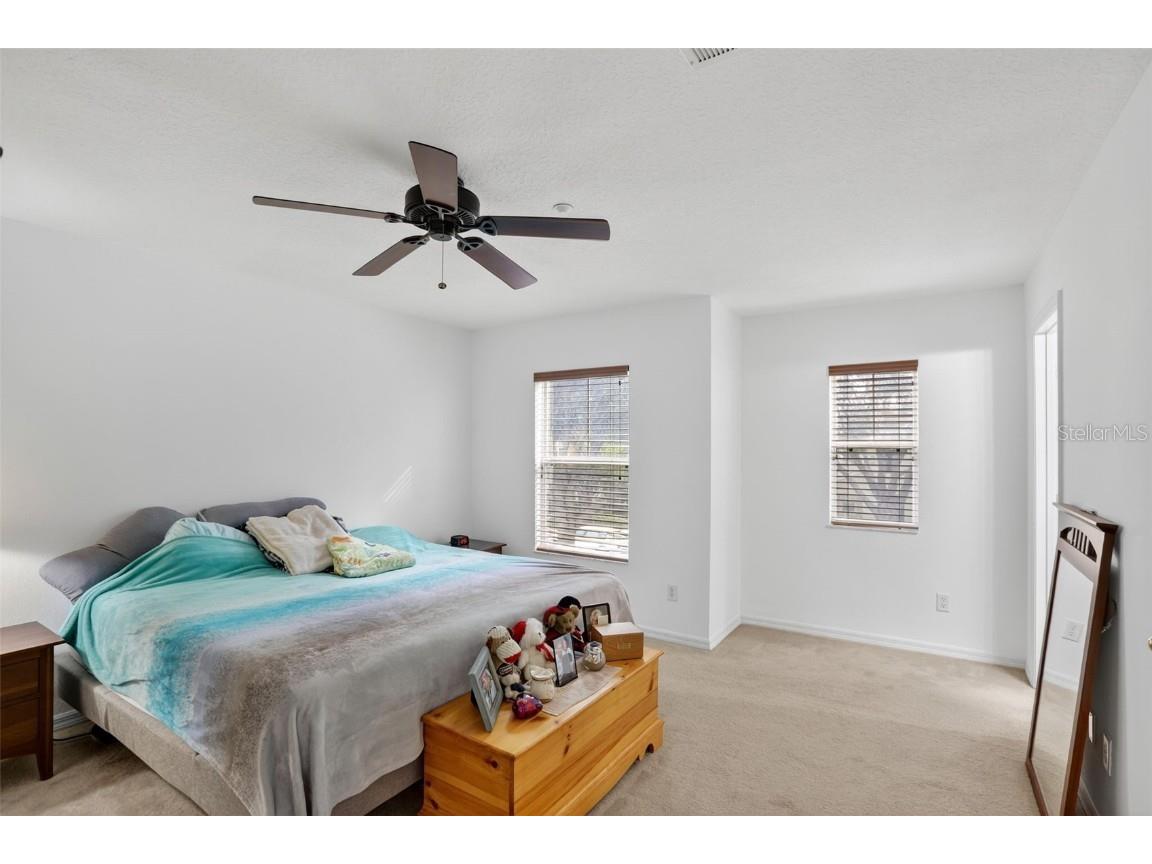 13879 Golden Russet Drive Winter Garden FL 34787 O6355893 image19