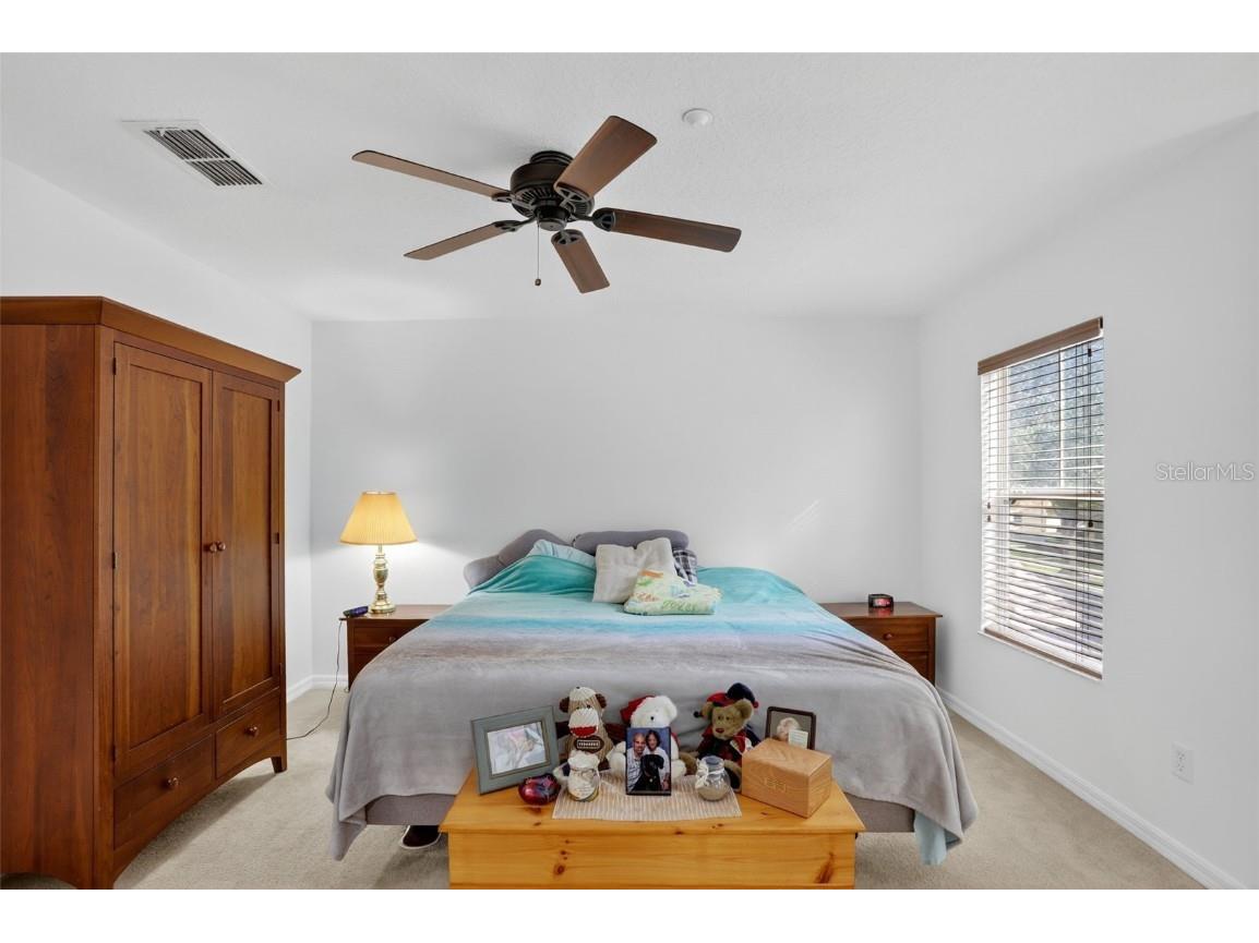 13879 Golden Russet Drive Winter Garden FL 34787 O6355893 image21