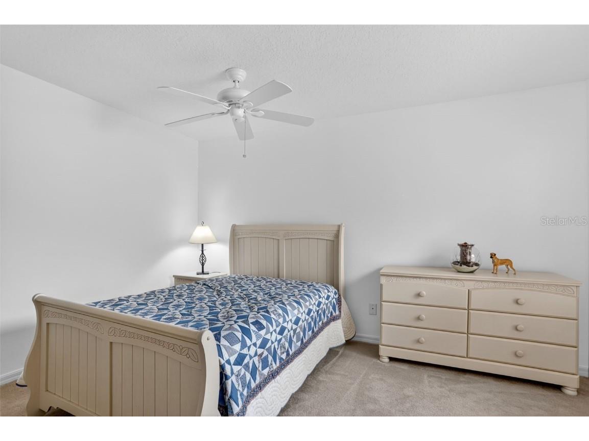 13879 Golden Russet Drive Winter Garden FL 34787 O6355893 image25